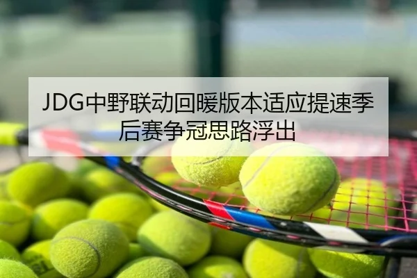 JDG中野联动回暖版本适应提速季后赛争冠思路浮出